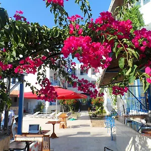 One Day Turgutreis